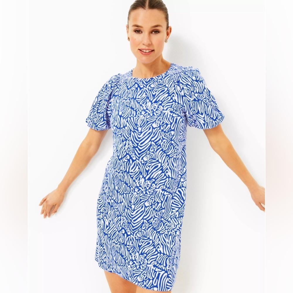 Lilly Pulitzer Rosen T-Shirt Dress Martinique Blue Zee Bebe Small Cotton